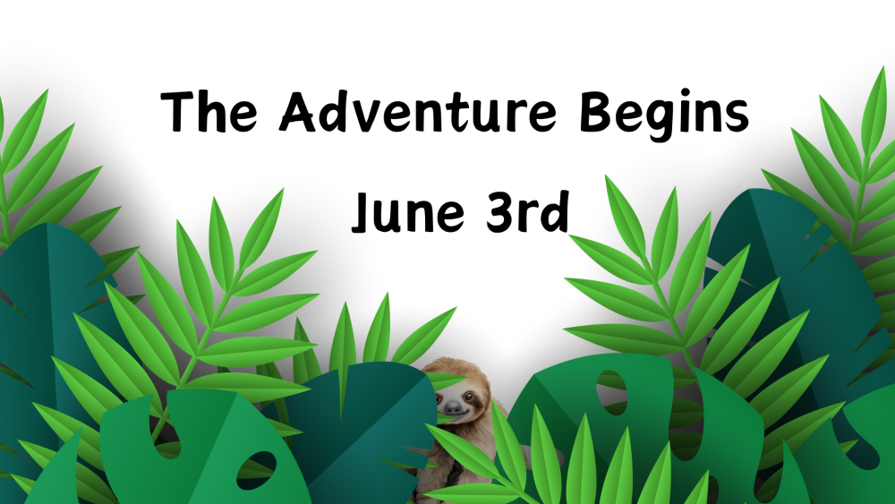 Adult Summer Adventure 2024 Hubbard Public Library